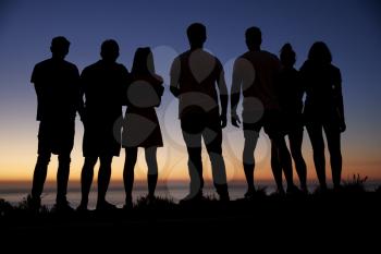 Group of young adults admiring sunset by the sea