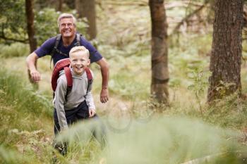 Grandfather and grandson hiking in a forest amongst greenery, front view