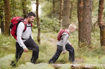 Side view of a boy walking on trail in a forest with his father, selective focus