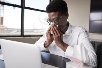 Young black businessman sitting at an office desk blowing his nose into a tissue, close up