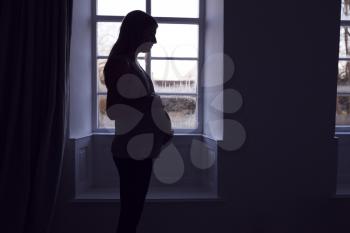 Silhouette Of Loving Pregnant Woman Standing By Window Touching Stomach