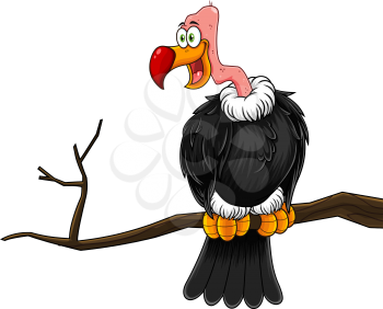 Zoology Clipart