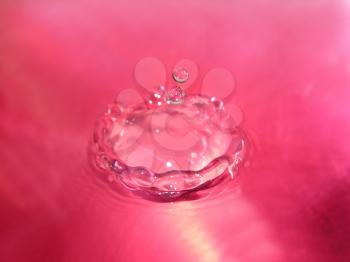 Water drops amongst water reflecting a pink colored background