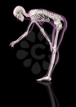 3D render of a female skeleton bending over