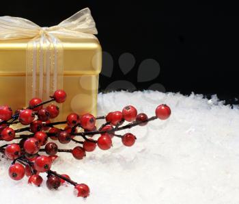 Gold Christmas gift and berries in snow