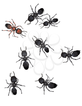 Royalty Free Clipart Image of a Group of Ants