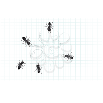 Royalty Free Clipart Image of a Group of Ants on Graph Paper