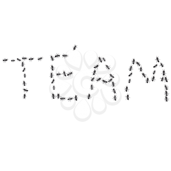 Royalty Free Clipart Image of a Group of Ants Spelling the Word Team.
