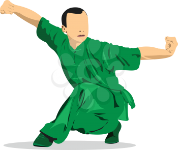 Oriental combat sports. Wushu. Colored 3d vector illustration