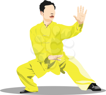 Oriental combat sports. Wu Shu. Colored 3d vector illustration.