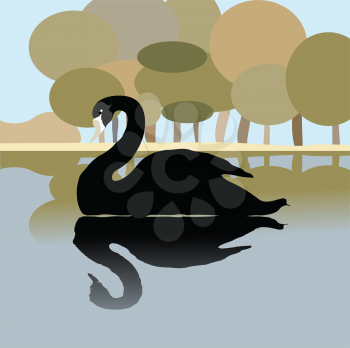 Royalty Free Clipart Image of a Black Swan 