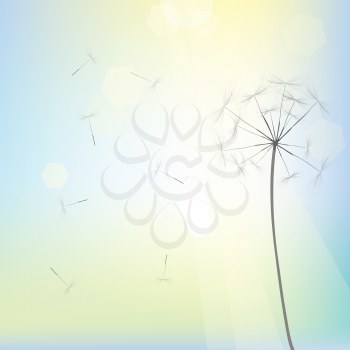 Royalty Free Clipart Image of a Dandelion in the Sun