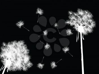 Royalty Free Clipart Image of Dandelions in the Night