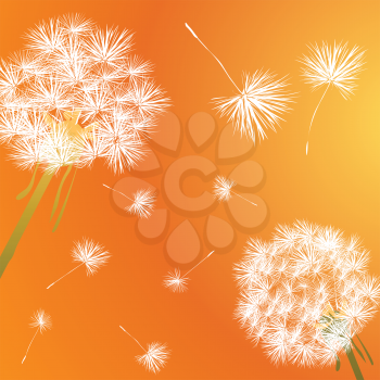 Royalty Free Clipart Image of Dandelions Blowing on an Orange Background