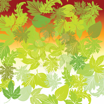 Royalty Free Clipart Image of  a Leafy Green Background