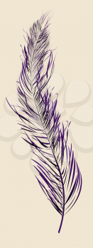 Abstract background with a stylish purlpe feather