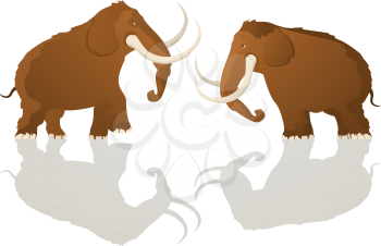 Two mammoth bulls charging, cartoon art