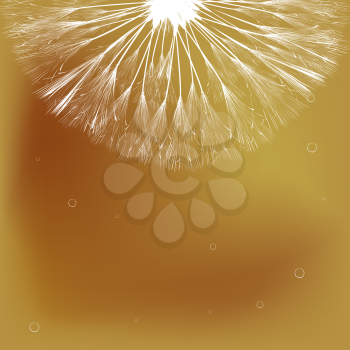 Abstract art background with dandelion and bubbles