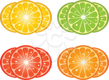 Citrus fruit slices over white background. Orange, lemon, grapefruit, lime design elements.