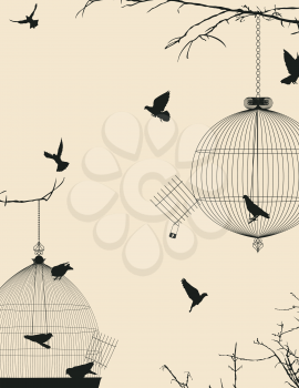 Birds and birdcages postcard design