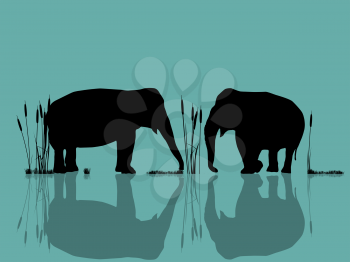 Background  illustration with wild elephants in the water