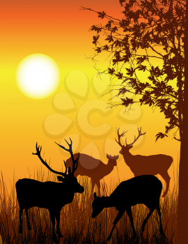 Background illustration of wild deer in forest 
