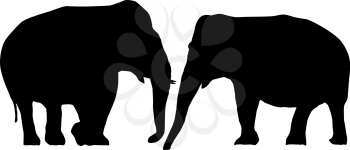 Two elephants love card, isolated objects on white background