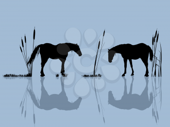 Background romantic illustration with horses at the water