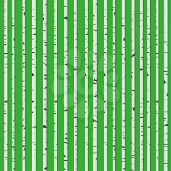 Perfect birch wood forest background, seamless pattern for web design