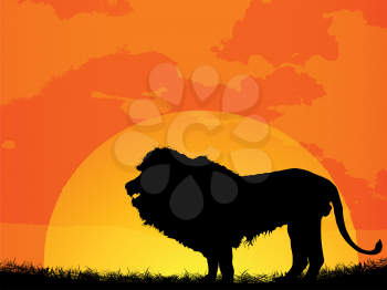African sunset with lion silhouette