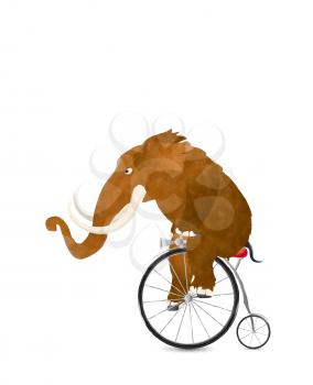 Watercolor  mammoth riding a boneshaker bicycle over white background
