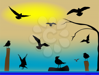 Royalty Free Clipart Image of Sea Birds