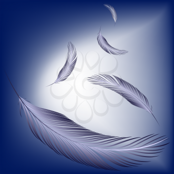 feathers in the wind, abstract vector art illustration