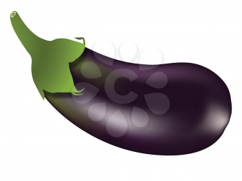 eggplant against white background, abstract vector art illustration, image contains gradient mesh