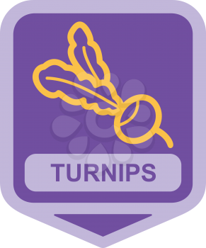 Royalty Free Clipart Image of Turnips