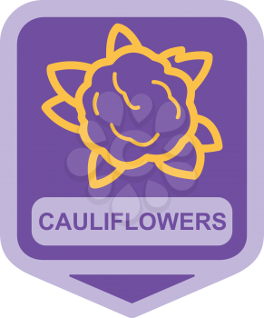 Royalty Free Clipart Image of a Cauliflower