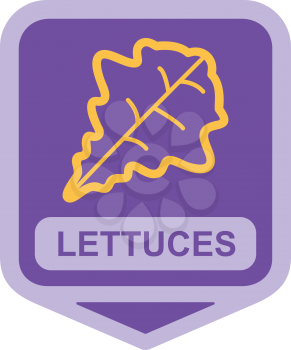 Royalty Free Clipart Image of a Lettuce Leaf