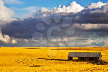 Royalty Free Photo of a Shed in a Field
