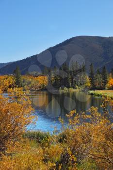 Grandiose multi-colour autumn on Northern lake. The USA