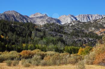 Magnificent multicolored autumn in the mountains of California. Noon, yellow, green and orange colors of mountain plants

