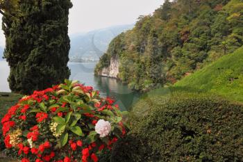 Magnificent park at the Italian villa-museum Balbyanello. Beautiful flower bed. Lake Como in the misty haze

