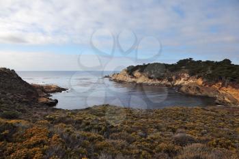 A little cool lagoon in the reserve Point Lobos on the Pacific Ocean. USA, California