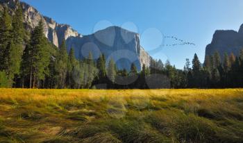 Grandiose landscape and bird's flight  in a valley world-wide well-known Yosemite park. Sunrise, autumn
