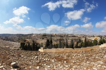 The capital of Israel - Jerusalem. The ancient Jewish cemetery on the Mount of Olives
