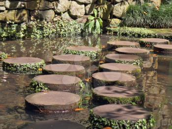 A huge picturesque park on the island of Madeira. Decorative track across the pond, lined with wooden stumps
