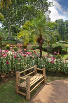A masterpiece of landscape design - a huge and beautiful park in Thailand. Palm trees, flower beds and a comfortable bench
