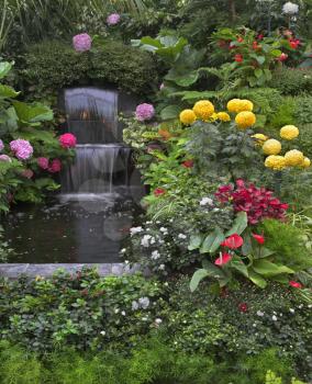 Gold small fishes and magnificent flower beds in a two-cascade falls in garden