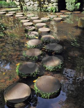 Decorative track across the pond, lined with wooden stumps. A huge picturesque park on the island of Madeira. 