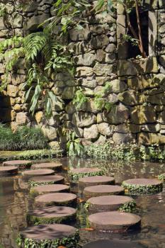 Huge picturesque park on island Madiera. A decorative path through a pond from wooden stubs
