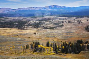 Grandiose landscape in Yellowstone national park